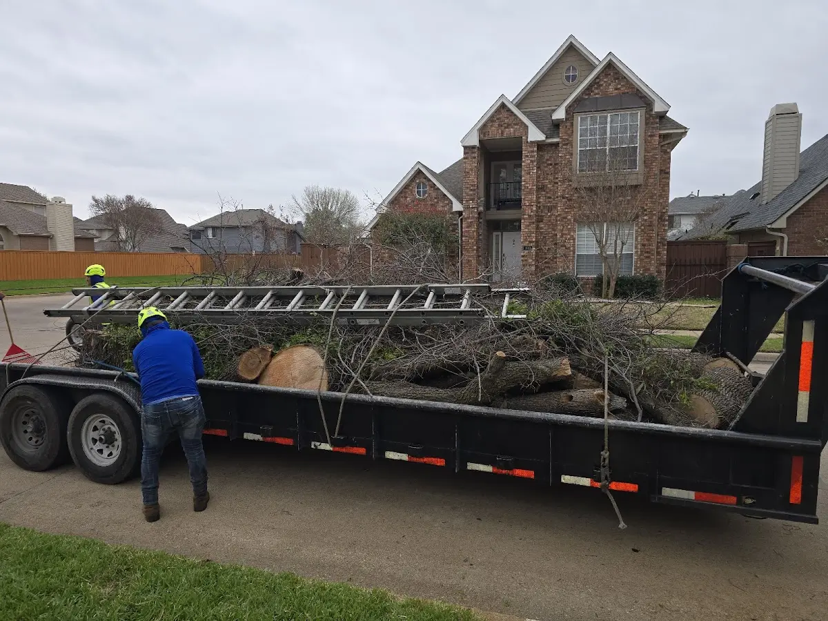 Expert Crown Reduction with proper safety equipment in Platte
